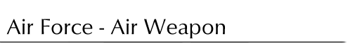 air_force.gif (2041 bytes)