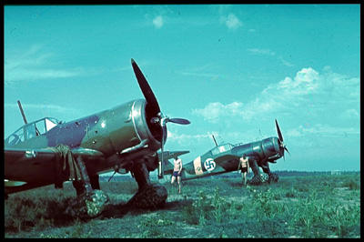 Fokker D 21 -h�vitt�ji�